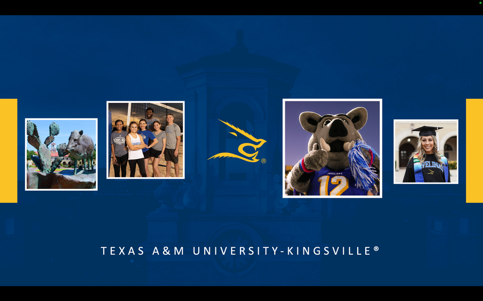 A collage featuring a Texas A&M University-Kingsville logo and student life photos. A graphic reads: Texas A&M University-Kingsville.