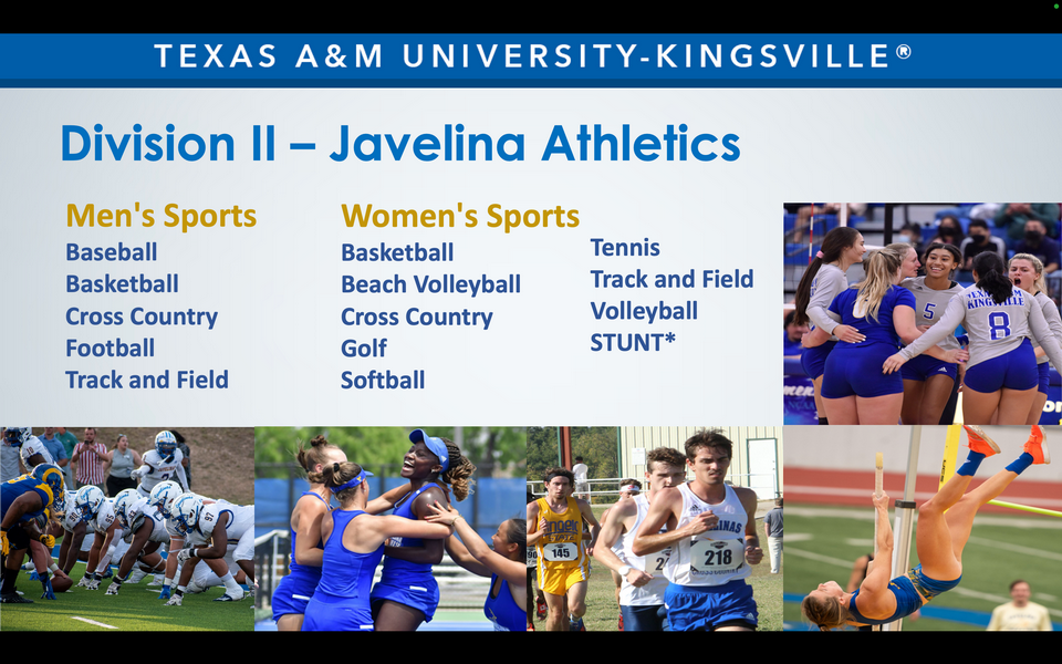 A collage featuring Texas A&M University-Kingsville student life photos. A graphic reads: Texas A&M University-Kingsville. Division II – Javelina Athletics. Men's Sports. Baseball. Basketball. Cross Country. Football. Track and Field. Women's Sports. Basketball. Beach Volleyball. Cross Country. Golf. Softball. Tennis. Track and Field. Volleyball. STUNT*.