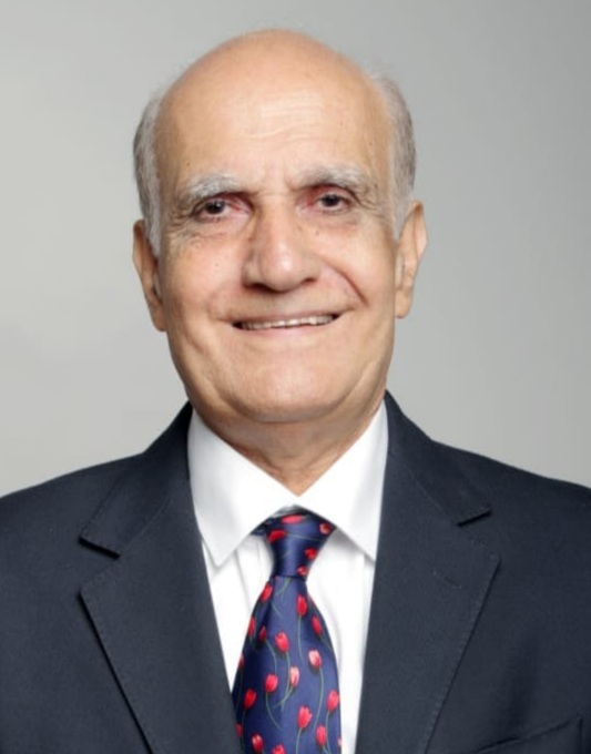 Profile picture of Dr. M. R. Riazi