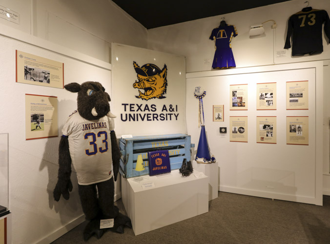 Javelina Heritage exhibition with porky suit & other memorabilia