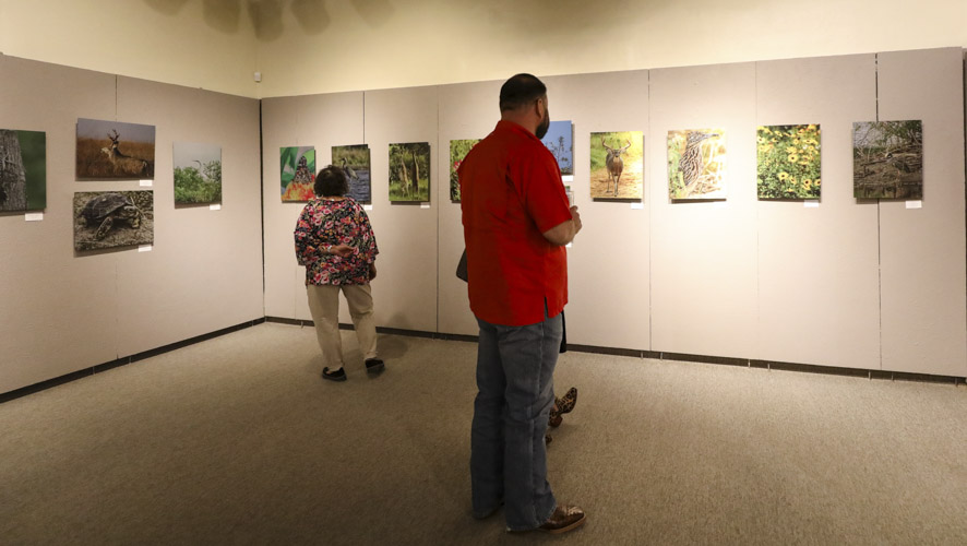 2 people looking at wildlife photography in museum gallery