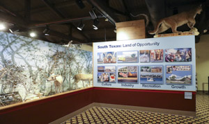 Photography wall