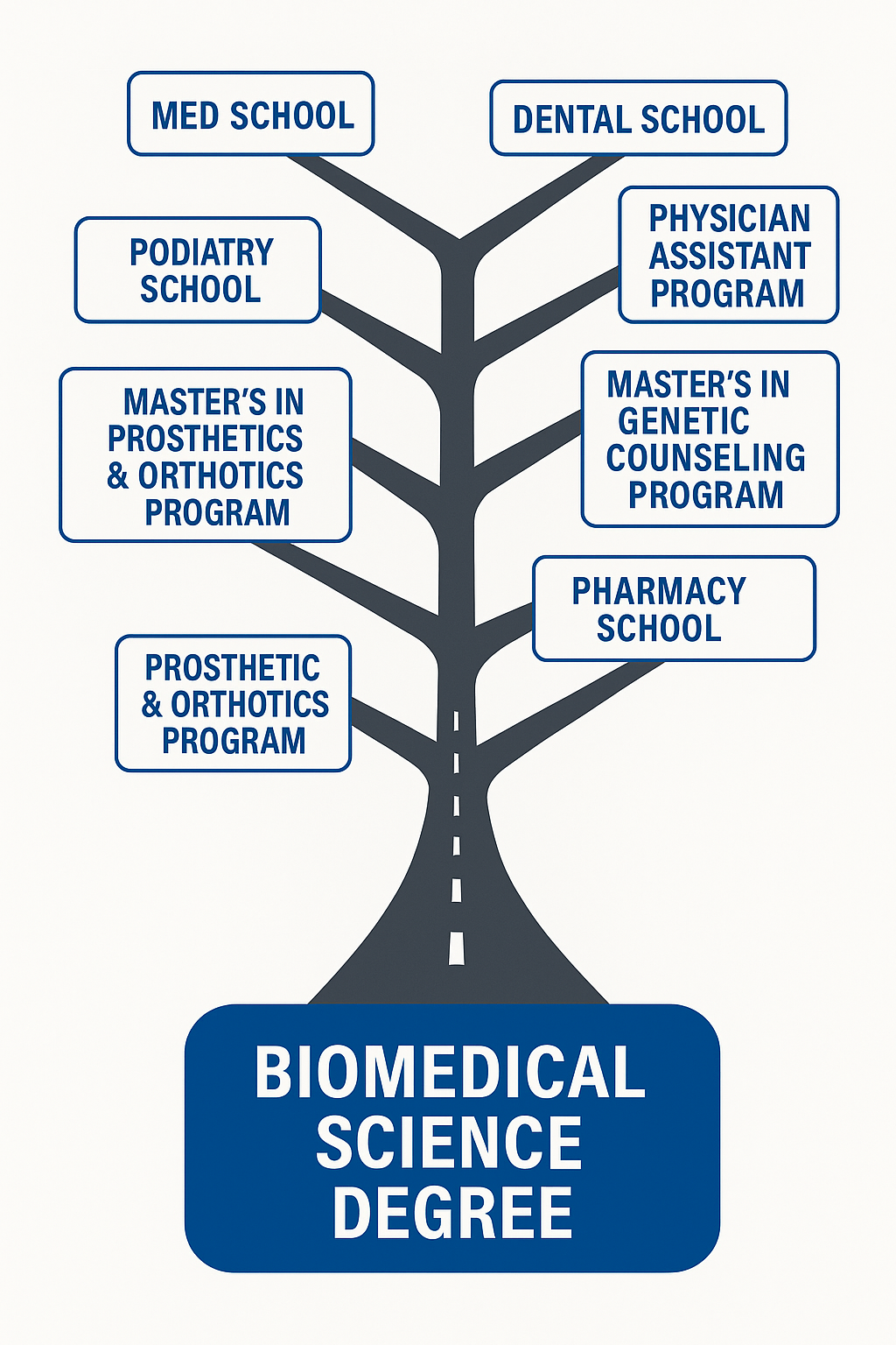 Infographic showing how biomedical degree can be applied to various pre-health programs.