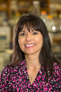 Profile picture of Dr. Elda E. Sánchez