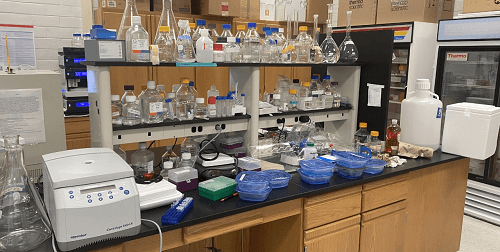 instrumentation lab table 2