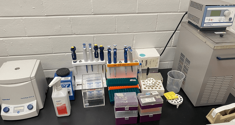 molecular biology lab 3