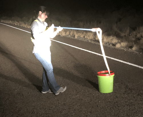 Dr. Elda Sanchez snake hunting trip Vanhorn summer 2018 part 2