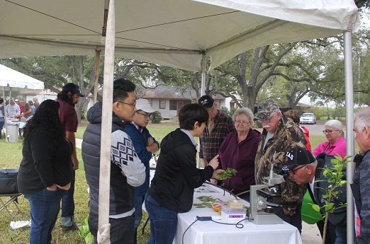 Dr. Veronica Ancona, explaining how to recognize and control citrus diseases