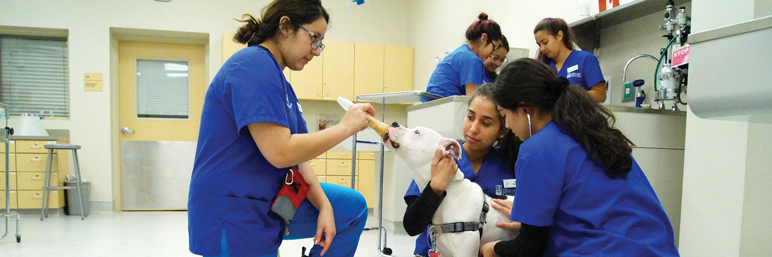 Veterinary Technology Program Admission | Texas A&M University Kingsville