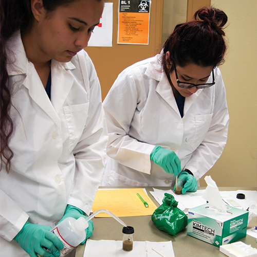 VETT students perform laboratory procedures to aid in diagnosis of diseases.