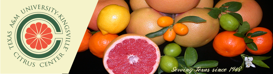 Texas A&M University-Kingsville, Citrus Center Administration page