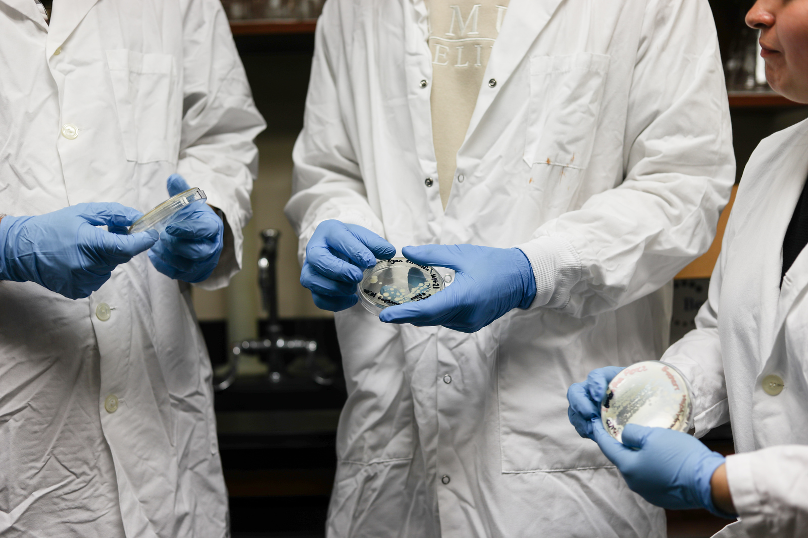 3 people in lab coats examining petri dishes