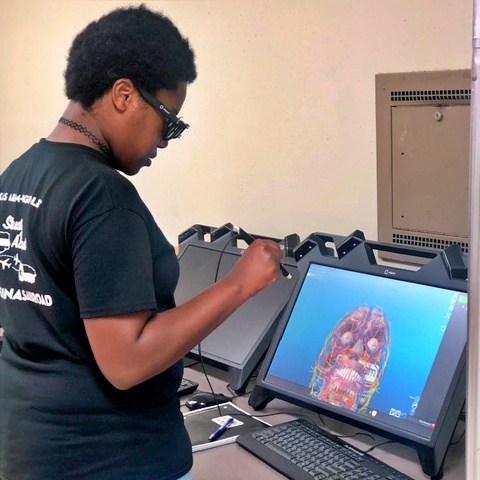 Student exploring 3D anatomy using virtual reality tools.
