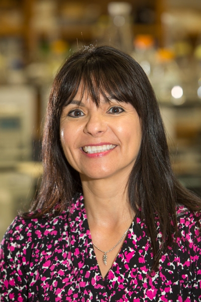 Profile picture of Dr. Elda Sanchez