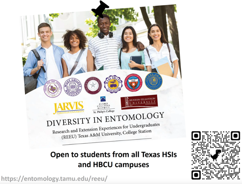 TAMU Entomology