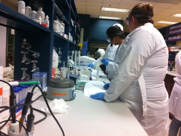 Environmental Engineering Lab Session Picture1