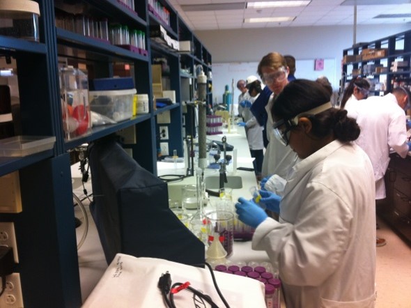Environmental Engineering Lab Session Picture7