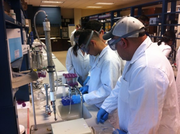 Environmental Engineering Lab Session Picture8