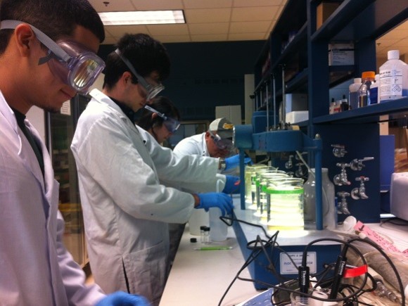 Environmental Engineering Lab Session Picture11