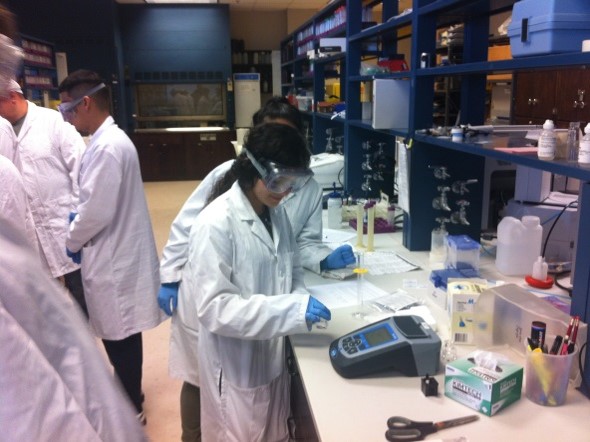 Environmental Engineering Lab Session Picture16