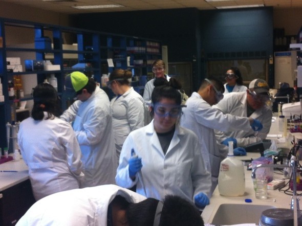Environmental Engineering Lab Session Picture17