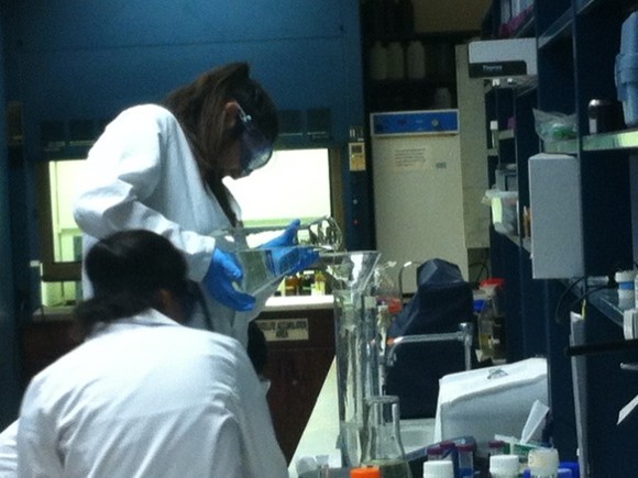 Environmental Engineering Lab Session Picture21