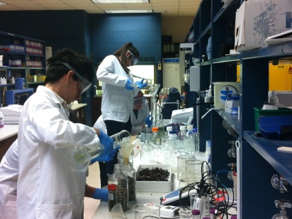 Environmental Engineering Lab Session Picture22