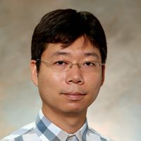 Profile picture of Yang, Xue, Ph.D.