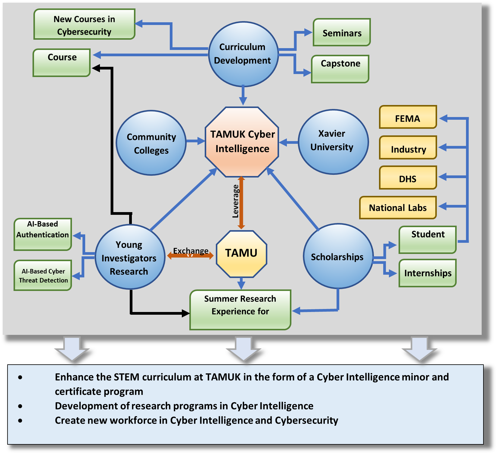Cyber Intelligence Program Overview