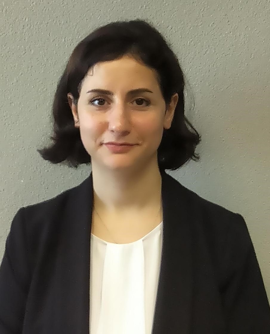 Profile picture of Dr. Fouzieh Rouzmehr