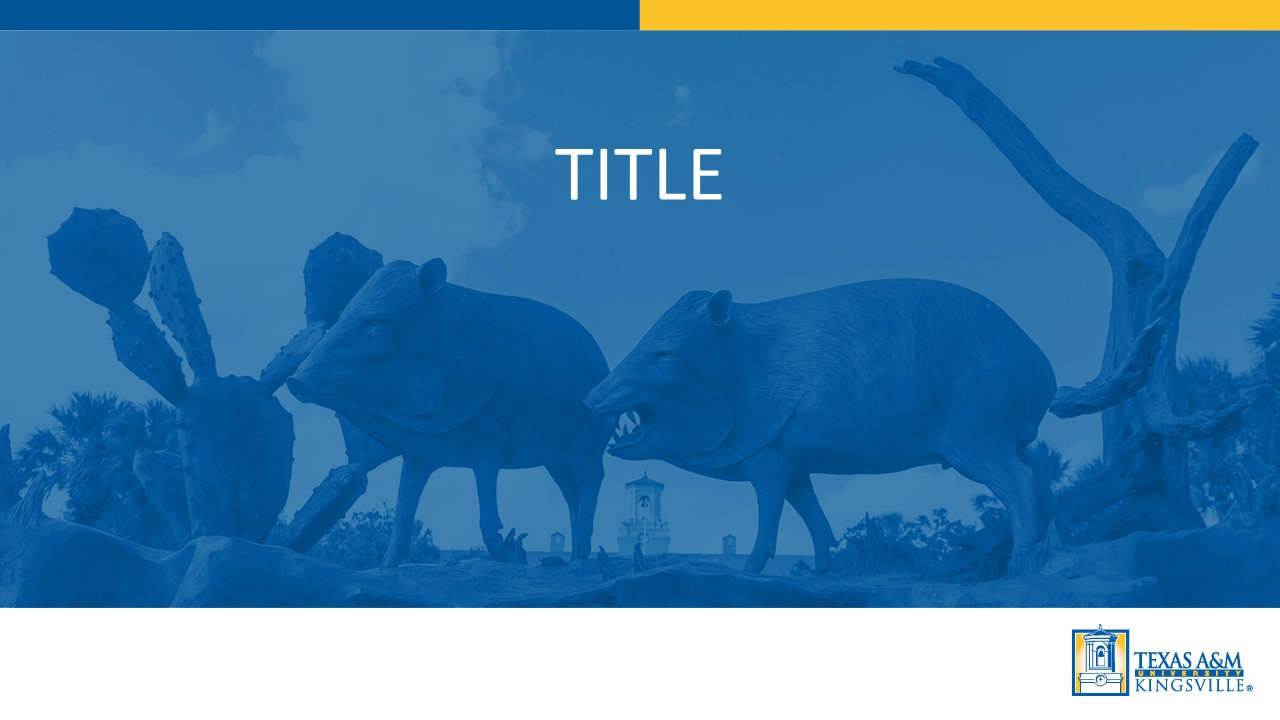 TAMUK GEN PPT Thumbnail