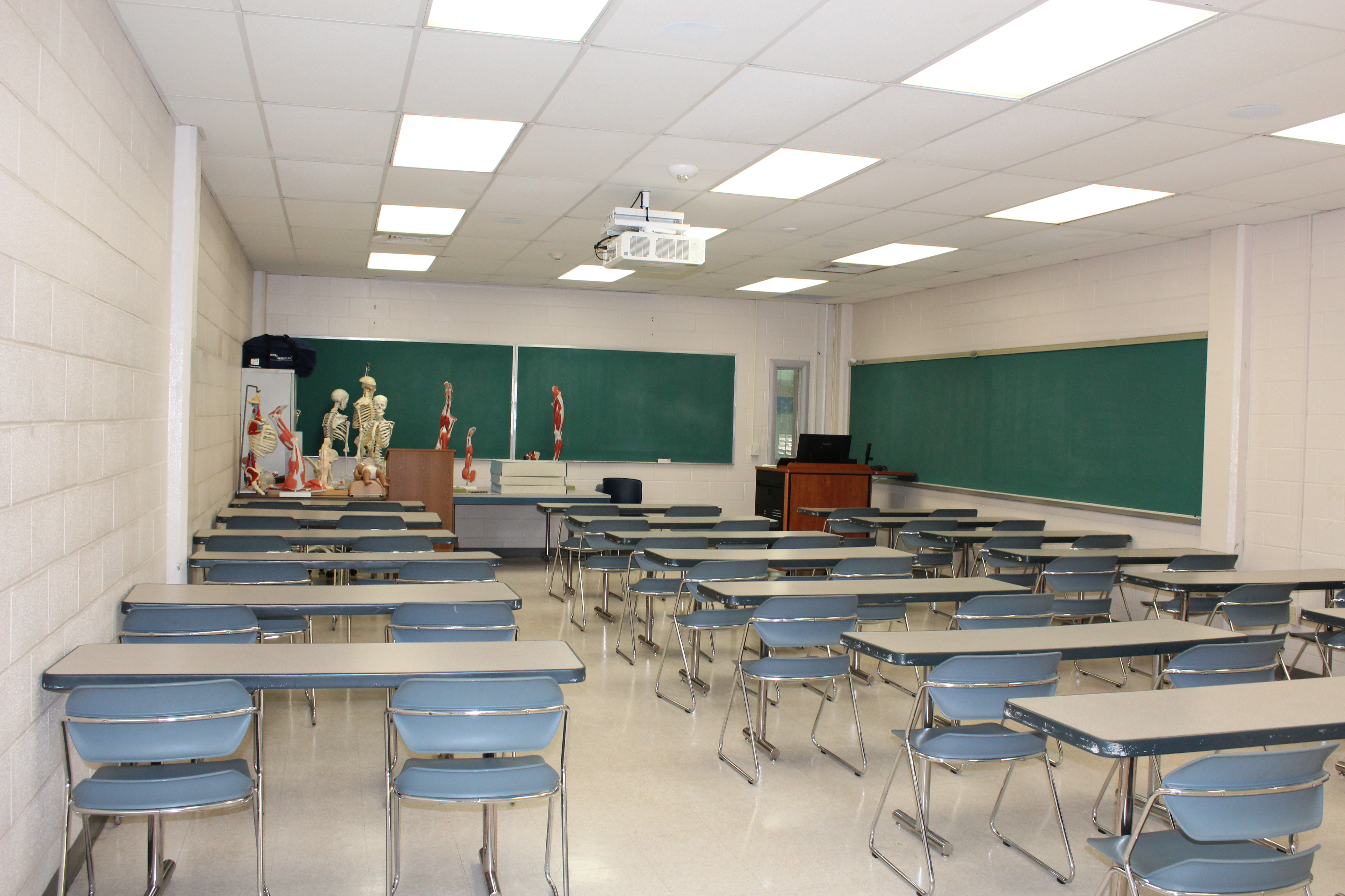 A SPEC classroom, featuring anatomical models.