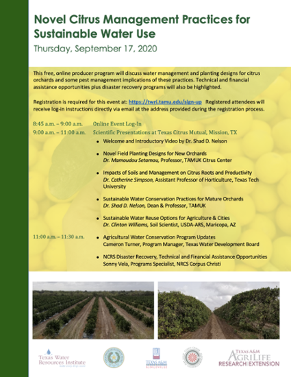 Novel Citrus Management Practices for Sustainable Water Use Agenda