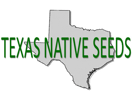 Texas Natives Logo