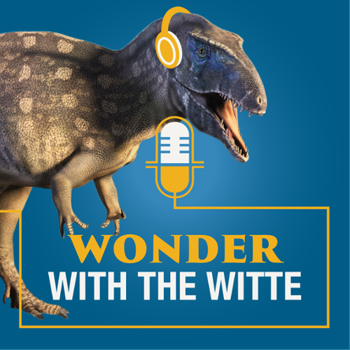 Wonder with the Witte Podcast Logo