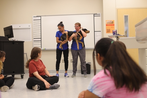 Instructional Veterinary nurses Tiffany Pope (right) and Julia Rogers (left) demonstrate to students how to lift Mika in a Companion Animals Skills class.