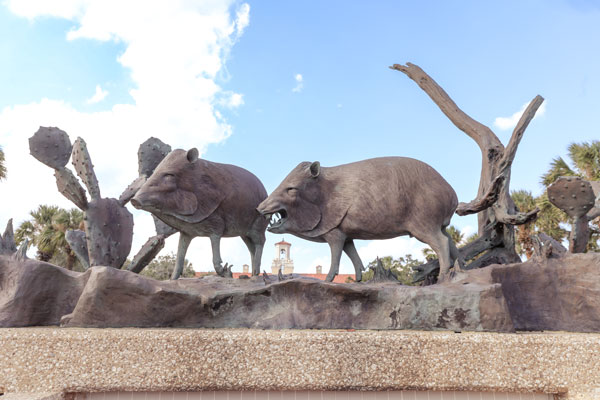 Two Javelina Statues