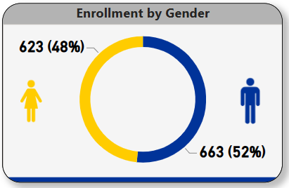 Enrollment by gender