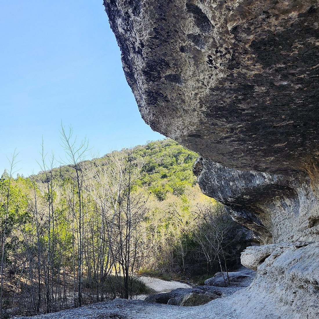 Texas A&M University-Corpus Christi Flyer for Trekking Seminole Canyon State Park. Image of a grassy and rocky canyon with water flowing through the middle.