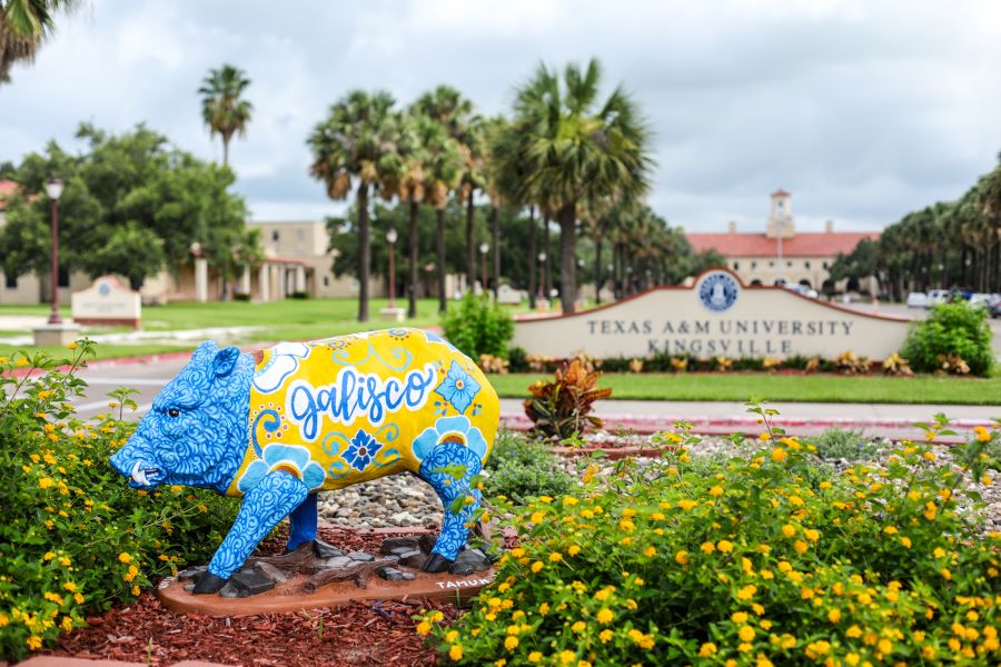 Painted Javelina On University Blvd.