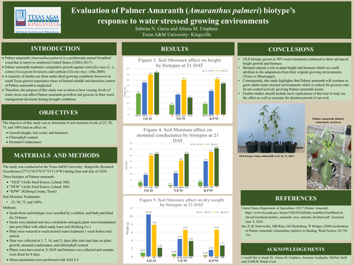 Poster Presentation