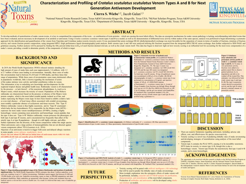 Poster presentation