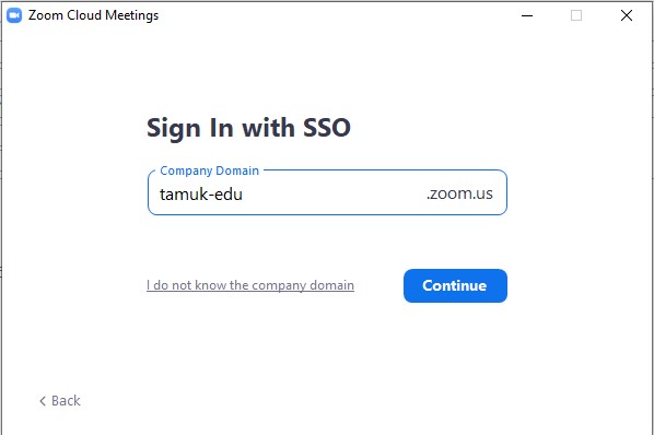 Setting up the domain: tamuk-edu.zoom.us