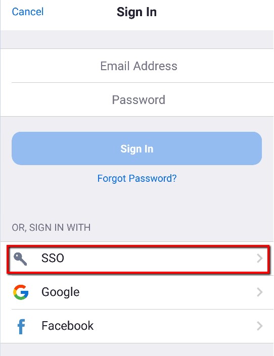 SSO sign in option on the App