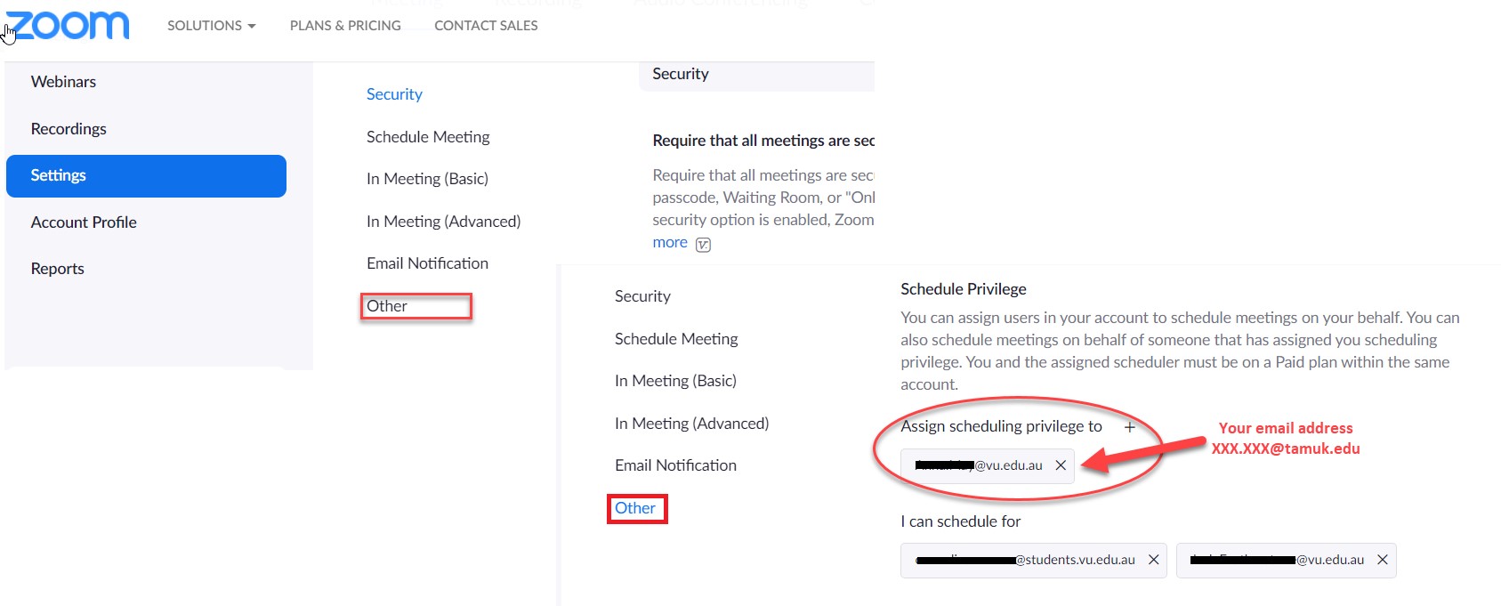 The view of Settings tab in Zoom profile with the Other option chosen and Assign scheduling priviledge option highlighted